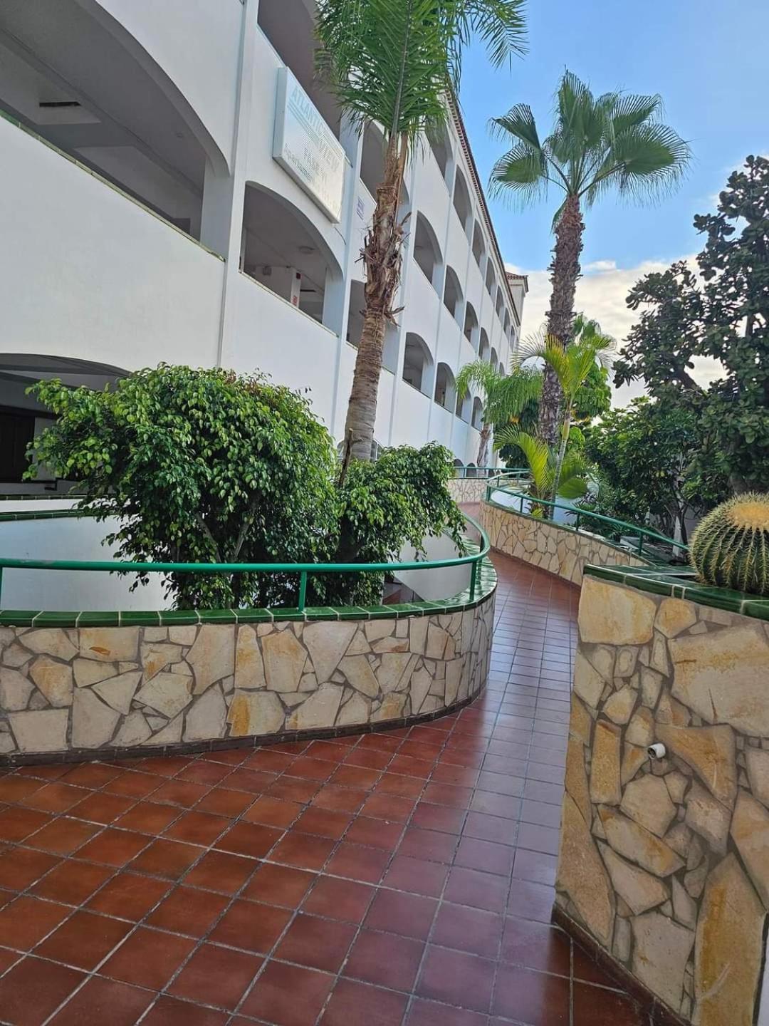 Arkadia Tenerife