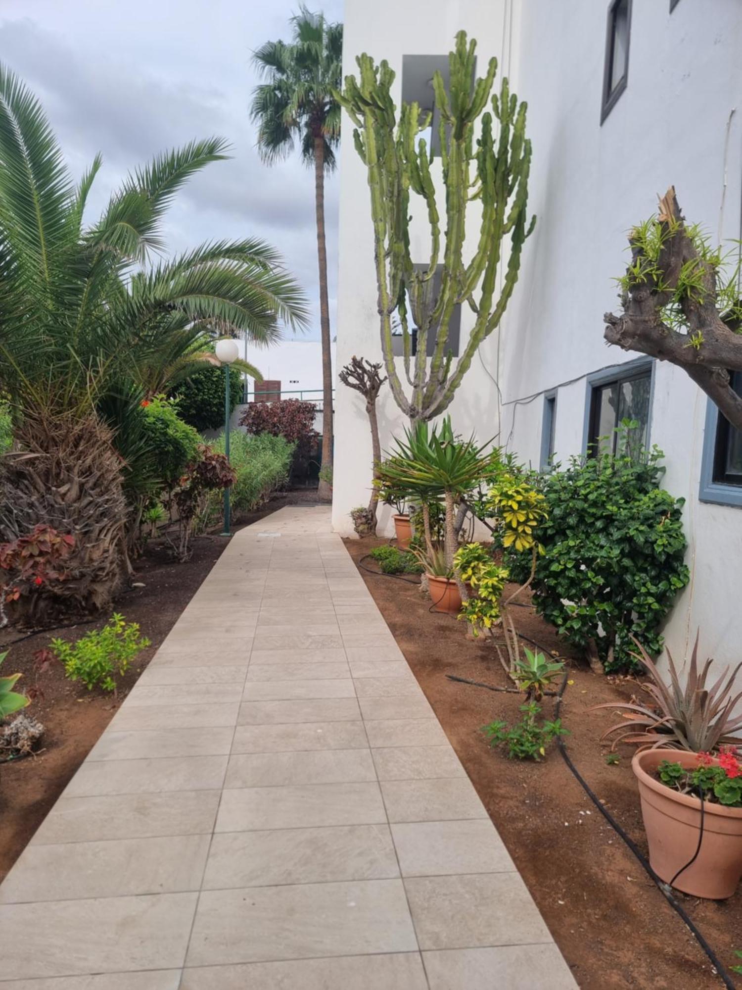 Appartamento Arkadia Tenerife Costa Del Silencio